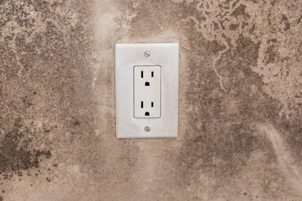 Best Commercial Mold Inspection  in Lake Dalecarlia, IN